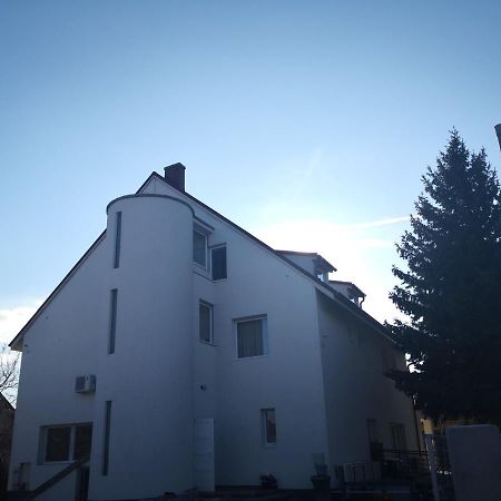 Thomas Panzio Bed & Breakfast บาลาตอนฟือเรด ภายนอก รูปภาพ